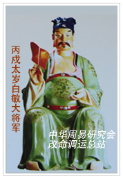 　丙戍太岁白敏大将军　