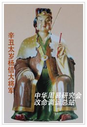 　辛丑太岁杨信大将军　