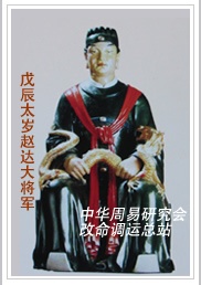 　戊辰太岁赵达大将军　