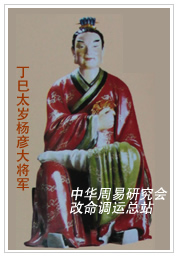 　丁巳太岁杨彦大将军　